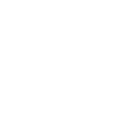 car_vivara